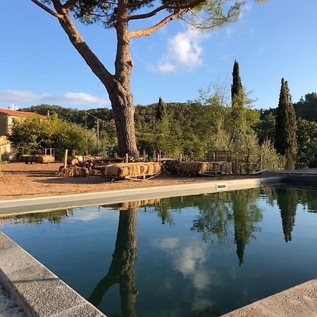 Operaviva Villa Suvereto Dış mekan fotoğraf