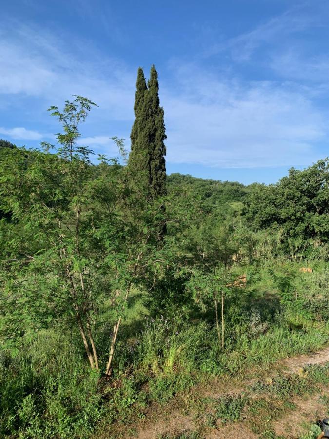 Operaviva Villa Suvereto Dış mekan fotoğraf