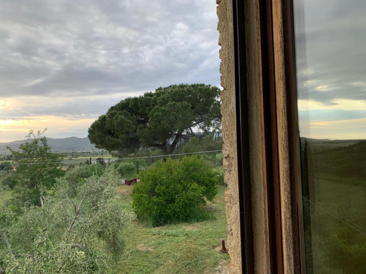 Operaviva Villa Suvereto Dış mekan fotoğraf