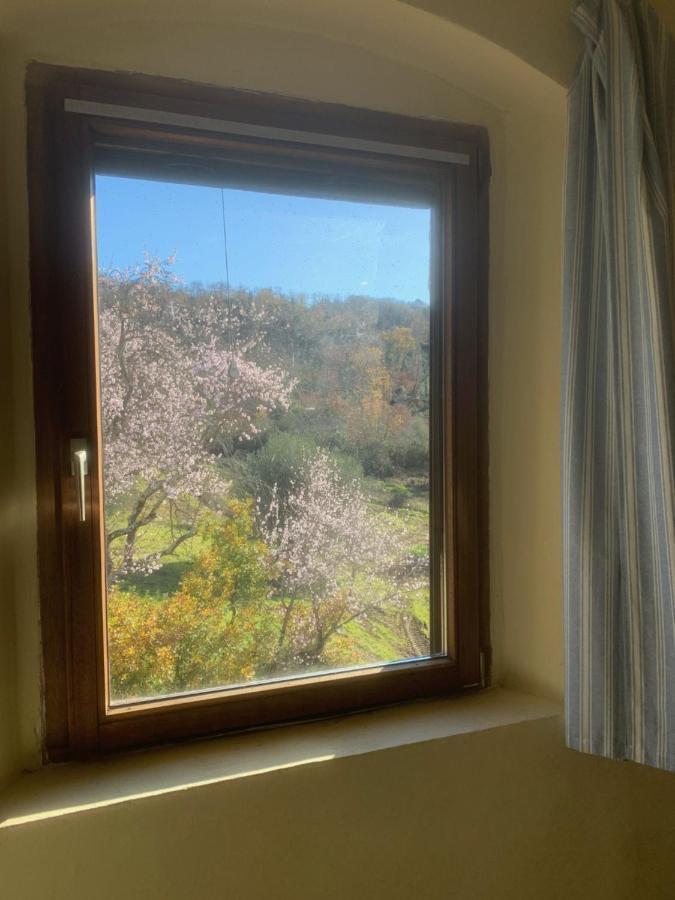 Operaviva Villa Suvereto Dış mekan fotoğraf